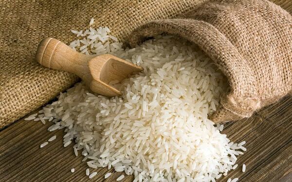 کاهش قیمت برنج در روزهای آینده