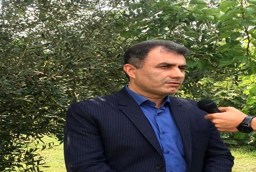 آغاز 17 طرح تجهیز و نوسازی اراضی شالیزاری در گیلان