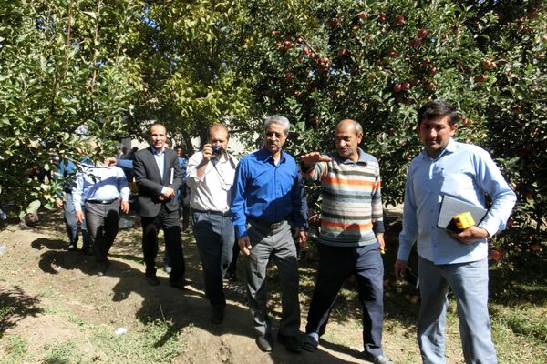 ۱۴۰۰ مرکز جهاد کشاورزی در کشور زیرپوشش طرح نظام نوین ترویج قرار دارد