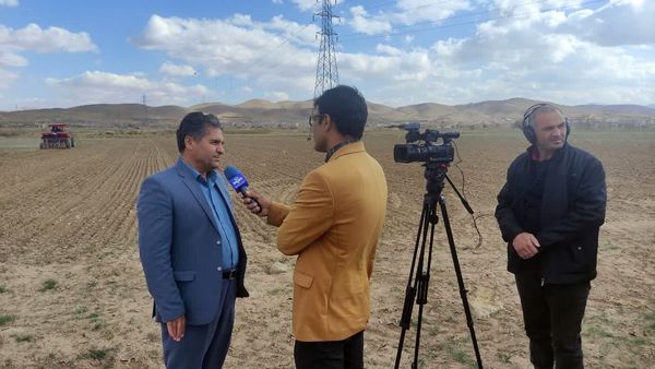 اجرای طرح جهش تولید در ۱۸ هزار هکتار اراضی دیم چهارمحال و بختیاری