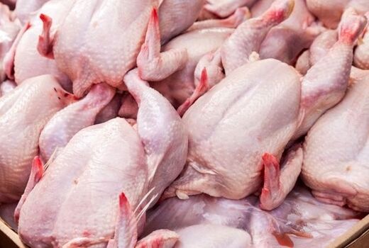 تولید بیش از 2 هزار تن گوشت در مرغداری‌های لامرد