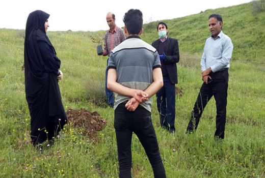 ایجاد باغ الگویی سماق بصورت کشت بافت در شهرستان هوراند برای نخستین بار در کشور