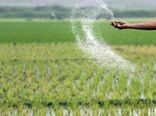 طرح ساماندهی توزیع کودهای کشاورزی در بوشهر اجرایی شد