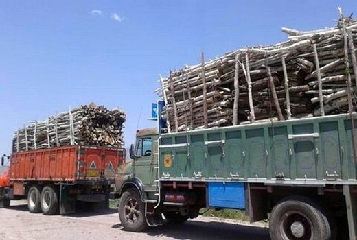 کشف و ضبط محموله یک و نیم تنی چوب غیرمجاز در شهرستان بندرعباس