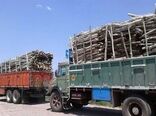 کشف و ضبط محموله یک و نیم تنی چوب غیرمجاز در شهرستان بندرعباس