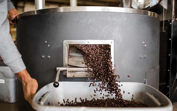 دانش و صنعت باید همگام شوند تا صنعت قهوه در ایران رشد کند