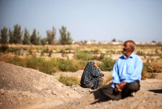 بارونق کشاورزی، مهاجران به‌خانه‌ برمی‌گردند