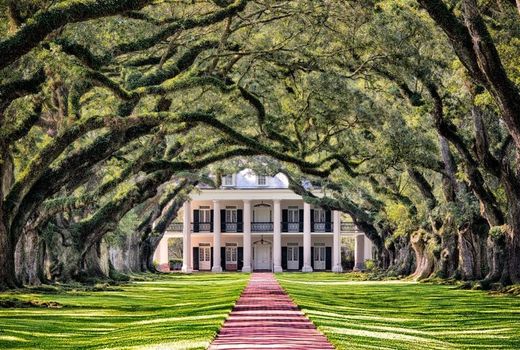 درختان اعجاب‌انگیز بلوط؛ عکس روز نشنال‌جئوگرافیک 