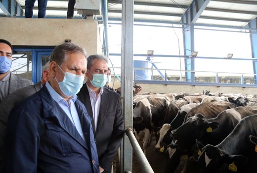 بازدید وزیر جهاد کشاورزی و معاون اول رئیس جمهور از مرغداری و گاوداری در جنوب استان تهران