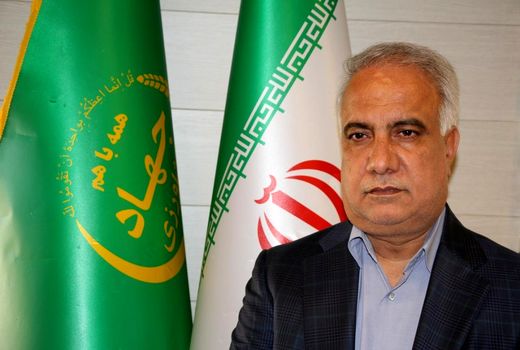 پیش‌بینی ۵۰ درصدی جهش تولید در کشت گلخانه‌ای