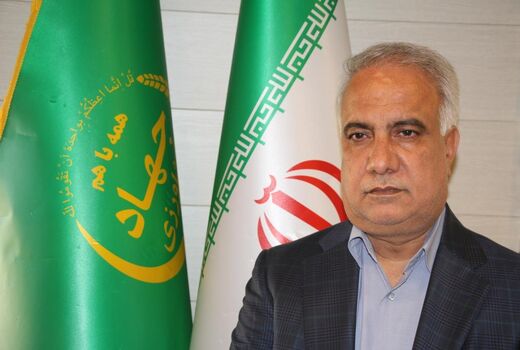 پیش‌بینی ۵۰ درصدی جهش تولید در کشت گلخانه‌ای