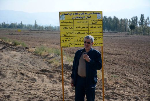  آغاز عملیات کاشت مزرعه گندم طرح الگویی پایلوت تغذیه گیاهی کشور در استان آذربایجان شرقی