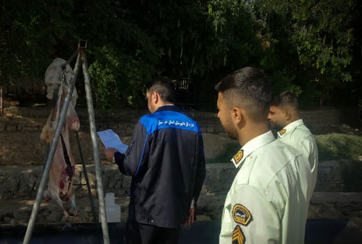 محکومیت 100 میلیون ریالی فرد خاطی کشتار غیرمجاز دام در خرمشهر