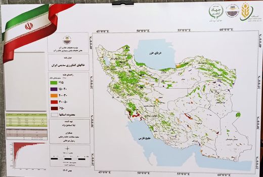 سالانه ۶۸۰۰ هکتار به اراضی سدیمی کشور افزوده می‌شود/هشدار درباره بحران پنهان خاک‌های کشاورزی