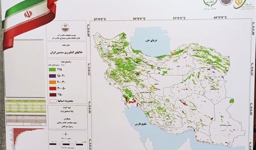 سالانه ۶۸۰۰ هکتار به اراضی سدیمی کشور افزوده می‌شود/هشدار درباره بحران پنهان خاک‌های کشاورزی
