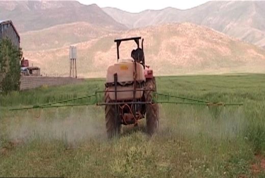 مبارزه شیمیایی با علف هرز در فریدونشهر