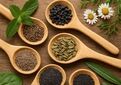 دستورالعمل صدور تأییدیه کیفیت بذر توده‌های بومی و ارقام محلی به تصویب رسید