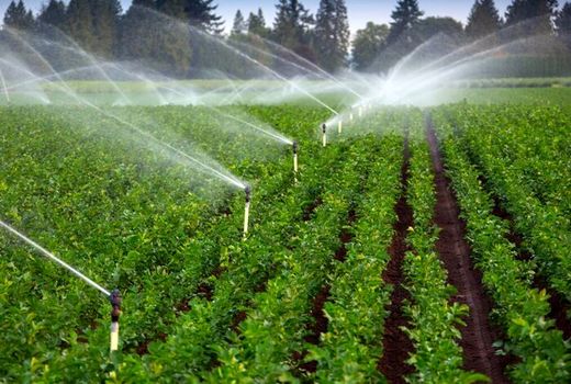 بدون محدودیت، پرونده‌های تجهیز آبیاری نوین را می‌پذیریم