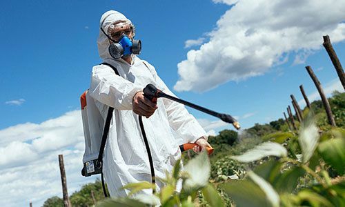 کاهش 50 درصدی استفاده از سموم شیمیایی در چهارمحال و بختیاری 