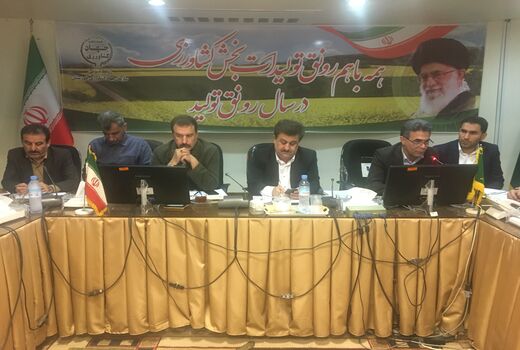 طرح ملی گندم بنیان، بنیانی برای تحول در بخش کشاورزی استان خوزستان