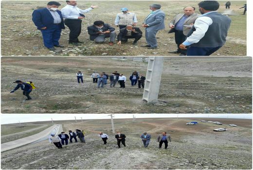 علمیات کانون کوبی بر علیه ملخ های مراکشی و ایتالیایی از مرز 7000 هکتار گذشت