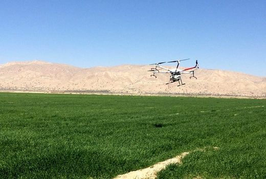 مبارزه 4000 هکتاری با علف هرز مزارع گندم در قیروکارزین