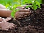 ایده یک مسئول جهاد کشاورزی برای پوشش گیاهی «حرم تا حرم»