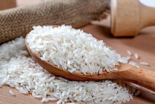 شهرستان میانه قطب تولید برنج در آذربایجان شرقی