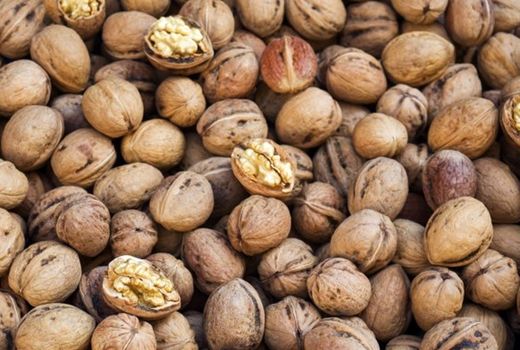 برداشت 330 تن گردو از باغ‌های نی‌ریز