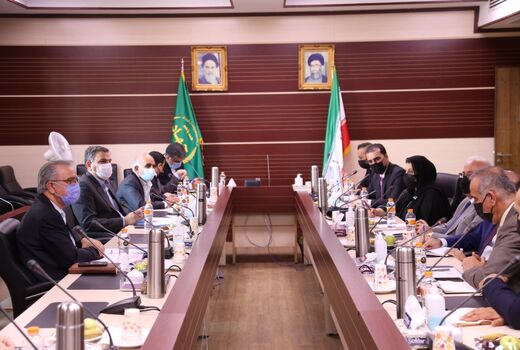 همکاری ایران و اقلیم کردستان عراق برای تبادل دانش فنی دامپروری و صادرات محصولات دامی