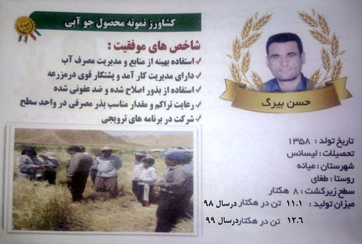 کشاورز میانه ای در تولید جو در کشور رکورد زد