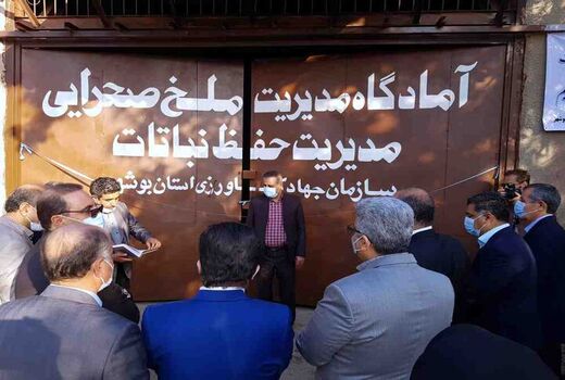 آمادگاه مدیریت ملخ صحرایی در بوشهر افتتاح شد