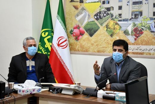 آغاز کشت قراردادی گندم و کلزا در استان آذربایجان شرقی 