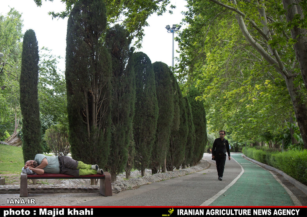 استراحت در فضای سبز شهری