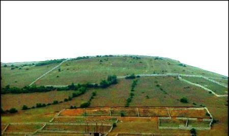 تصویب واگذاری 306 هکتار از اراضی ملی در فارس