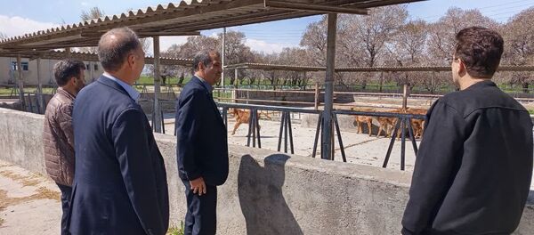 بازدید میدانی از مرکز پشتیبانی گاو نژاد سرابی با محوریت اصلاح نژاد و ارتقای بهداشت