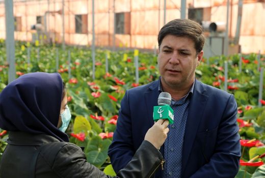 ۴۳ پروژه شهرک‌های کشاورزی در دهه فجر به بهره‌برداری می‌رسد