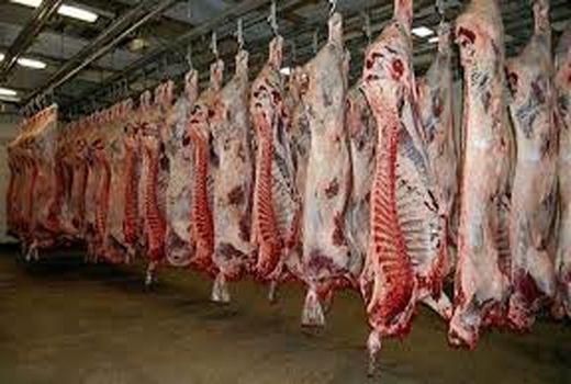 خرید حمایتی و تضمینی گوشت قرمز مازاد دامداران خوزستان