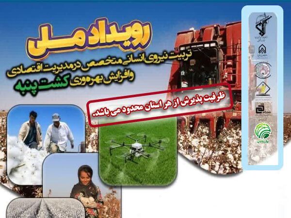 دوره تخصصی پنبه با هدف آموزش و توانمندسازی کارشناسان برگزار می‌شود
