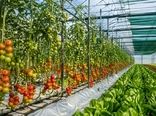 گلخانه‌ها و سایه‌بان‌ها؛ راهکار کشت کنترل‌شده برای تولید محصول سالم‌تر