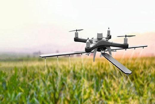 توجه به کشاورزی مدرن؛ رمز توسعه و جهش تولید در بخش کشاورزی