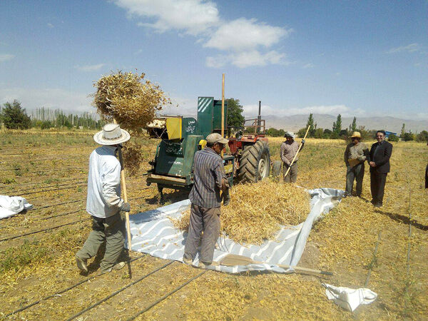 خوزستان، همچنان قطب کشاورزی ایران است