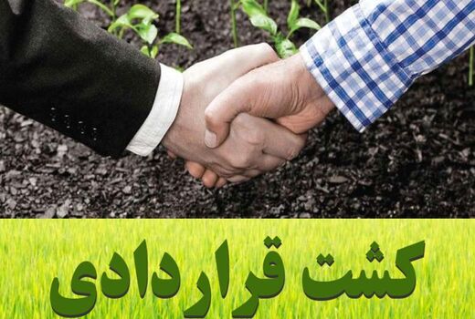 کشاورزان چهارمحال و بختیاری تا پایان دی‌ماه فرصت ثبت‌نام برای کشت قراردادی دارند