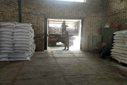 توسعه کاشت گندم با بذور گواهی شده در خنج