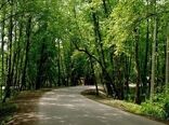 ایجاد و تأسیس پارک‌های جنگلی «زندگی» در اراضی ملی؛ نهضتی برای توسعه فرهنگ منابع طبیعی و مشارکت مردمی