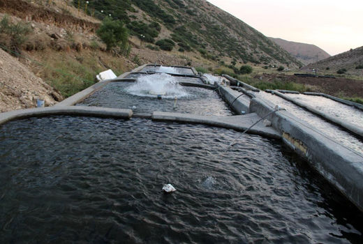 مشکلات حقوقی آبزی پروران حاشیه رودخانه شاهرود قزوین حل شد