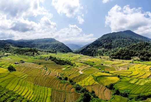 گلستان؛ آواز خوش محصول در گوش زمین