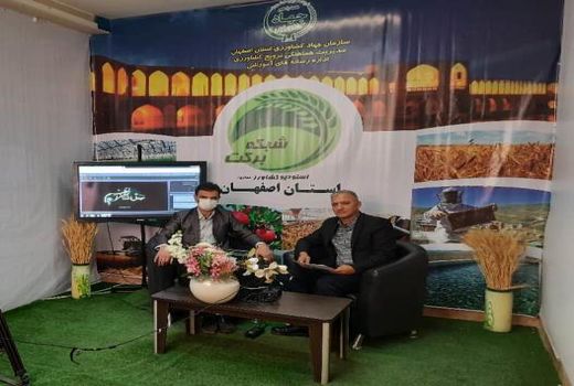 افزایش 78 درصدی بیمه محصولات زراعی در شهرستان مبارکه 