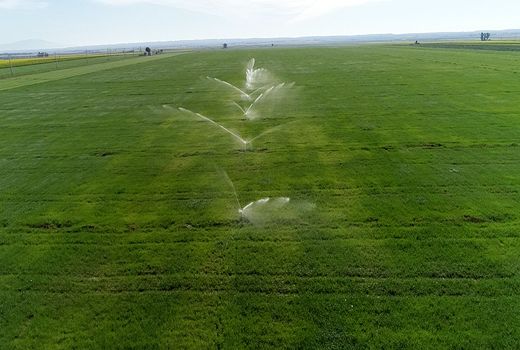 پیشرفت فیزیکی 95 درصدی طرح سامانه گرمسیری 