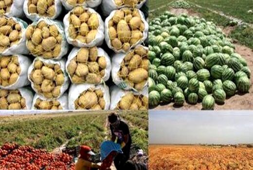 ۵۹ درصد از کل صادرات کردستان محصولات کشاورزی بوده است